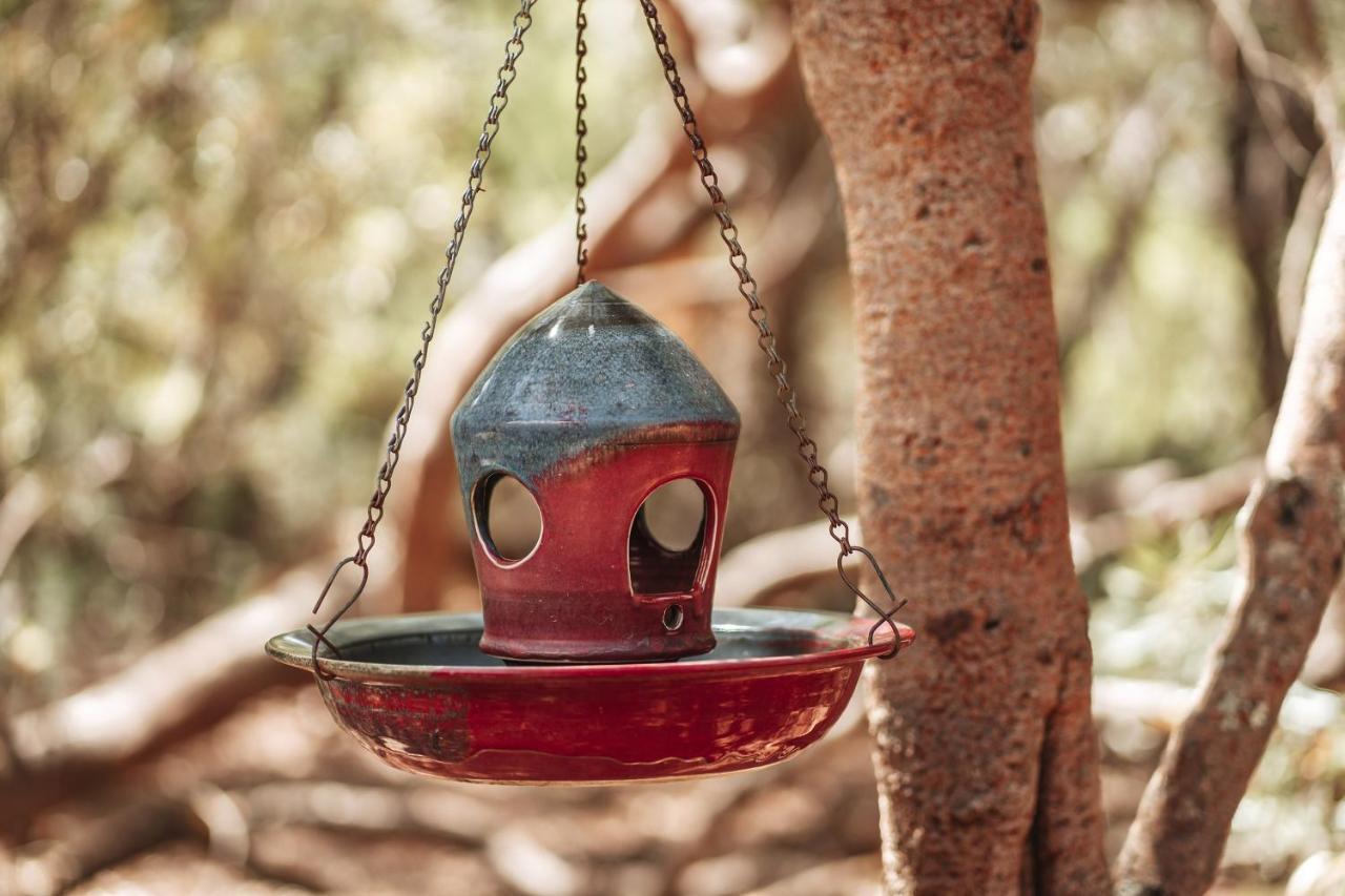 מרגרט ריבר Bussells Bushland Cottages מראה חיצוני תמונה