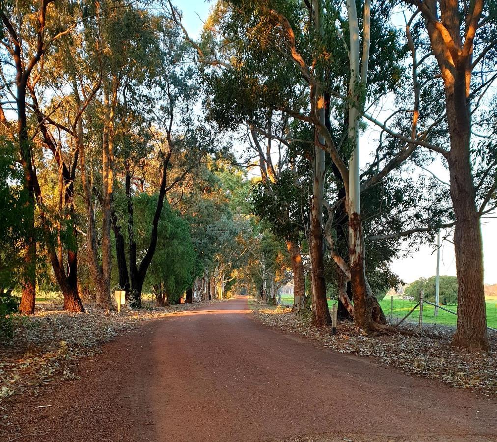 מרגרט ריבר Bussells Bushland Cottages מראה חיצוני תמונה